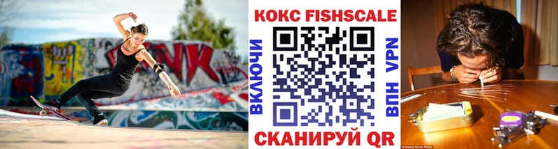 Cocaine FishScale  купить  цена  Сыктывкар 
