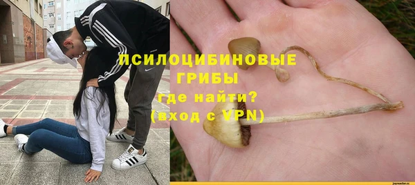 дмт Алексеевка