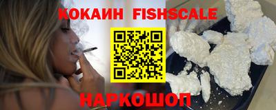 твердый Сланцы