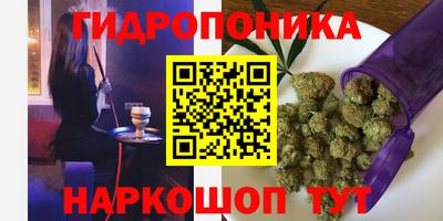 твердый Сланцы