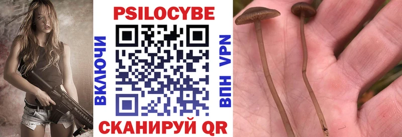 blacksprut ТОР  Сыктывкар  Галлюциногенные грибы прущие грибы 