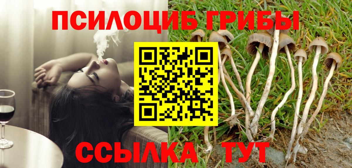 Псилоцибиновые грибы мицелий  Вход с VPN  Сыктывкар  Галлюциногенные грибы прущие грибы 