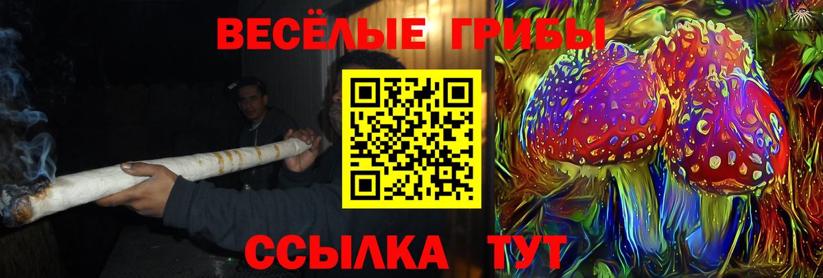 Псилоцибиновые грибы мицелий Сыктывкар